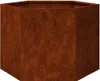 vidaXL Sadzarka Rusty 60x60x45 cm ze stali cortenowskiej Podgląd zdjęcia produktu 1