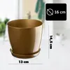 A gold-colored plastic plant pot with a saucer, shown on a light-colored surface with a blurred background. Produktbild-Vorschau