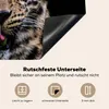 KitchenYeah© Herdabdeckplatte Leopard - Schwarz - Produktbild-Vorschau 5