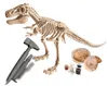Galileo Kit de fouilles T-Rex & Fossile Kit de modelage Voir les images du produit 2