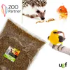 A collage of animals and a bag of mealworms, suggesting the mealworms are food for the animals. Produktbild-Vorschau
