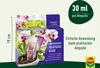 COMPO Orchideen-Aufbaukur - 5 Ampullen á 30 ml Produktbild-Vorschau 13