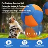 Hüteball für Mittelgroße und Große Hunde Blau-orange Produktbild-Vorschau 2
