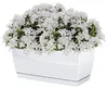 COUBI DUPP400 Blumentopf mit Untersetzer | Weiß Produktbild-Vorschau 4