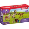 Horse Club Mini Shetty Familie, Spielfigur Produktbild-Vorschau 3