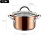 A copper pot with a glass lid and silver handles, with dimensions indicated by lines and text. Anteprima dell’immagine prodotto
