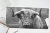 MuchoWow® Mauspad Mousepad Schottischer Highlander - Produktbild-Vorschau 5