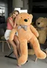 A woman is posing with two large teddy bears in a modern kitchen. Podgląd zdjęcia produktu
