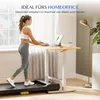 FLEXISPOT Gasfeder Höhenverstellbarer Schreibtisch 100×60 Produktbild-Vorschau 3