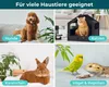 HomePetLab Giardien Schnelltest für Hunde, Katzen & Produktbild-Vorschau 5