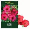 Lein rot Samen - Linum grandiflorum - Leinsamen - Produktbild-Vorschau 1