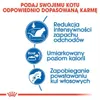 Royal Canin Home Life Indoor 27, Dospělý jedinec, 4 kg Náhled obrázku produktu 5