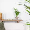 Bloomique - Chamaedorea Elegans - Bergpalme - Produktbild-Vorschau 4