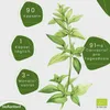 Oregano Öl Kapseln 90 vegane , magensaftresistente Kapseln Produktbild-Vorschau 3