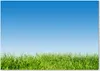 Tulup® Leinwandbild - 100x70 cm - Wandkunst - Drucke auf Produktbild-Vorschau 1