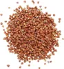 Paradieskörner 80 gr. Dose Produktbild-Vorschau 1