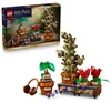 LEGO Harry Potter: Castillo de Hogwarts – Jardín de Vista previa de la imagen del producto 21