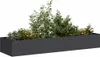 Maison Exclusive - Plantenbak zwart, 280x80x40 cm, staal Productafbeelding-voorbeeld 1