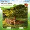 Floranica Staketenzaun aus Haselnuss Kastanie 1 laufender Produktbild-Vorschau 5