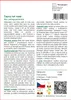 SAFLAX - Čajový keř maté - Ilex paraguariensis - 10 Semena Náhled obrázku produktu 3