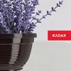 KADAX schaal van kunststof, ronde bloempot, weerbestendige Productafbeelding-voorbeeld 6