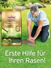 Substral Magisches Rasen-Pflaster-3,6 kg Rasensamen, blau Produktbild-Vorschau 7