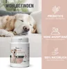 REAVET Darm Prebiotic für Hunde 150g - Präbiotikum zur Produktbild-Vorschau 2