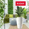 KADAX Pot de fleurs avec insert "Jesi", bac à plantes en Voir les images du produit 6