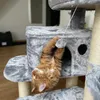 A ginger cat is playing with a toy hanging from a cat tree. Náhled obrázku produktu