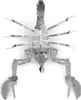 Metal Earth Scorpion, Bausatz, Metall Produktbild-Vorschau 11