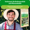 Purgrün -Felsenbirne-Dünger 1 kg Produktbild-Vorschau 2