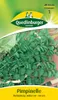 Quedlinburger Saatgut - Pimpinelle - Samen - 495022 Produktbild-Vorschau 3