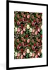MuchoWow® MuchoWow® Gerahmtes Poster Blumen - Vintage - Produktbild-Vorschau 1