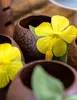 Tazza di cocco Hawaii marrone - Taglia unica Anteprima dell’immagine prodotto 5