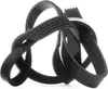DAYCO Keilrippenriemen 1175,0mm für FIAT PANDA (169) Produktbild-Vorschau 11