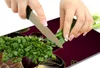 Glasschneidebrett 30x52 Orchidee Produktbild-Vorschau 8