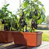 PLASTIA s.r.o. Duża donica Berberis DUO 78x39x35 cm, Podgląd zdjęcia produktu 13
