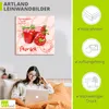 ARTland Leinwandbild Paprika liegt auf weißen Untergrund Produktbild-Vorschau 3