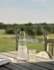 Stelton karafka Pilastro ze szkłem, karafka na wodę, Podgląd zdjęcia produktu 4