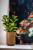 A potted plant sits next to a still life painting. Anteprima dell’immagine prodotto