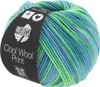 Lana Grossa COOL WOOL PRINT 50 g snadno udržovatelné Náhled obrázku produktu 1