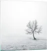 Bilder auf glas - Baum Feld Natur - 40x40cm - Glasbilder - Produktbild-Vorschau 1