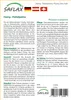 SAFLAX - Zwerg - Dattelpalme - Phoenix roebelenii - 25 Produktbild-Vorschau 11