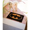 Rohožka Kokos - Rohožka Kokos - Batman - Logo Náhľad obrázku produktu 5