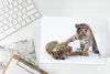 MuchoWow® Mauspad Mousepad Tiger - Jungtier - Weiß 27x18 cm Produktbild-Vorschau 5