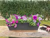 ONDIS24 3x Blumenkasten Rom Balkon Symphonie 50cm mit Produktbild-Vorschau 2