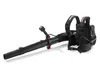PARKSIDE PERFORMANCE® 40 V Akku-Rucksacklaubbläser »PPRLBA Produktbild-Vorschau 1