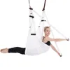 Joga Swing Hammock Trapeze Sling Aeria Home Gym Náhled obrázku produktu 4