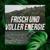AXE 3in1 Duschgel & Shampoo Wild Mojito & Cedarwood XL, Produktbild-Vorschau 6