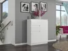 Komoda 98 cm 2 dveře 2 zásuvky skříňka FRAMIRE S-2 bílá Náhled obrázku produktu 8